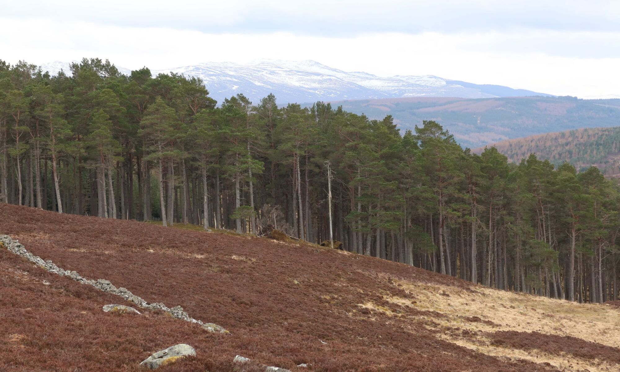 
  
  Blair Atholl Gravel Adventure
