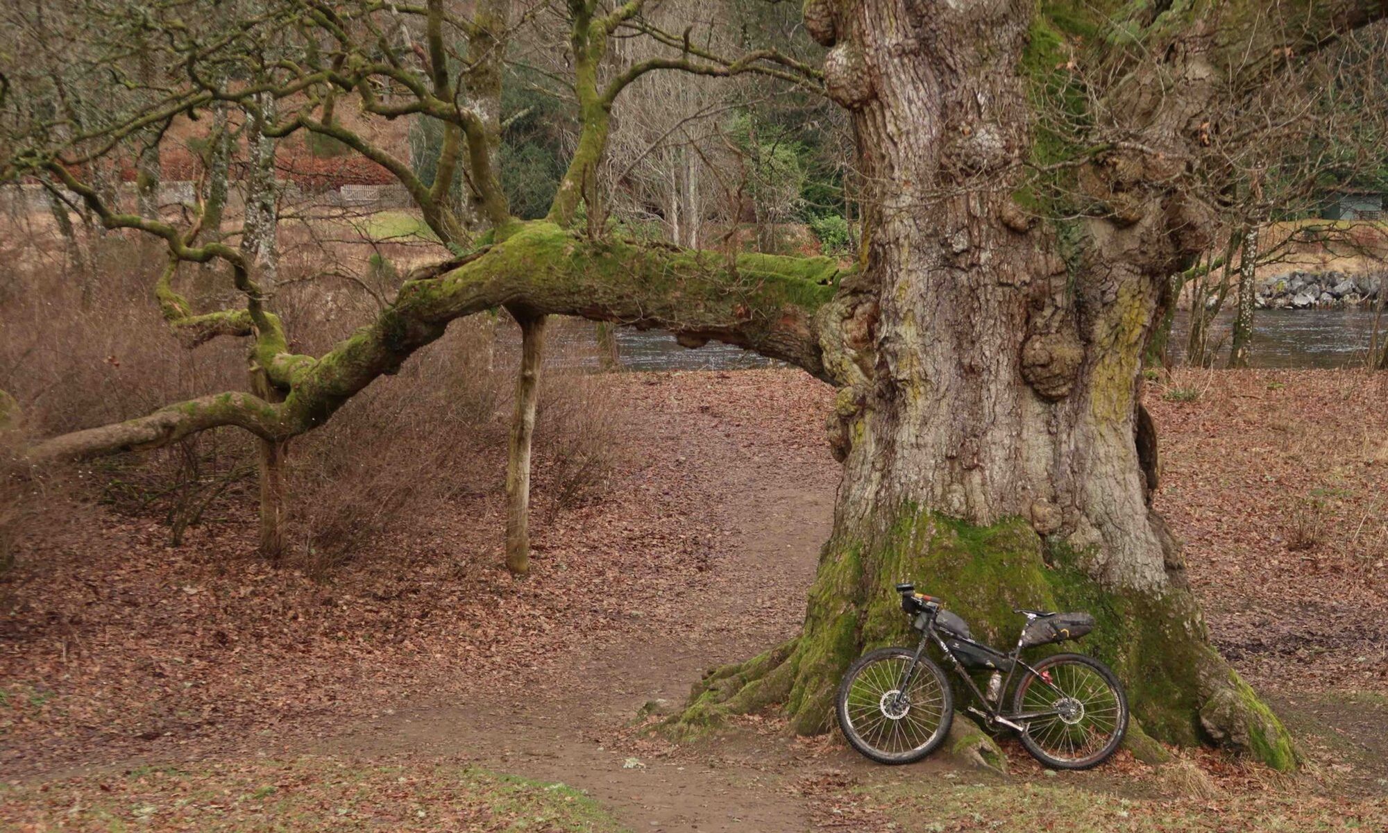 
  
  Drovers Trail - Stage 4
