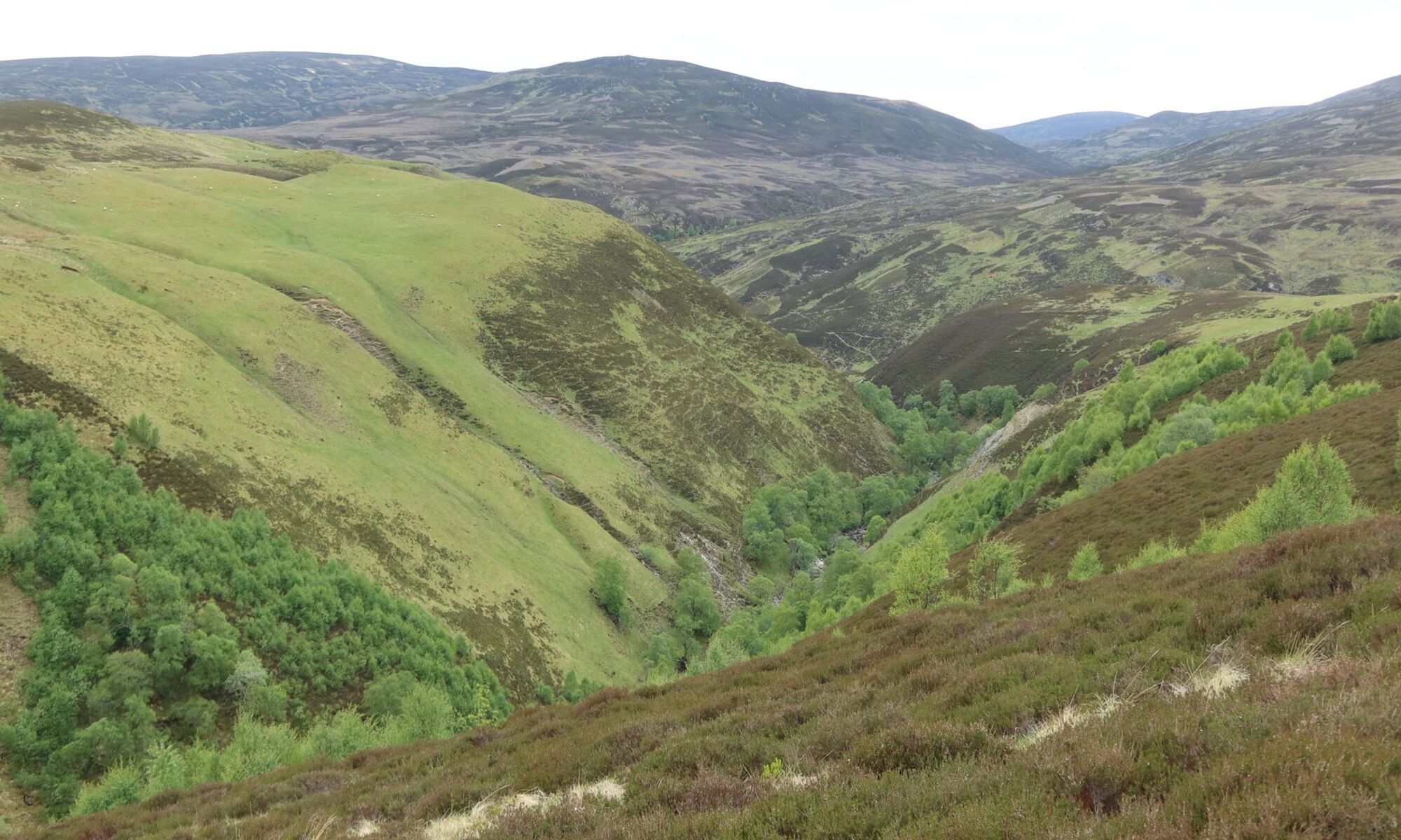 
  
  Cairngorms Grand Tour
