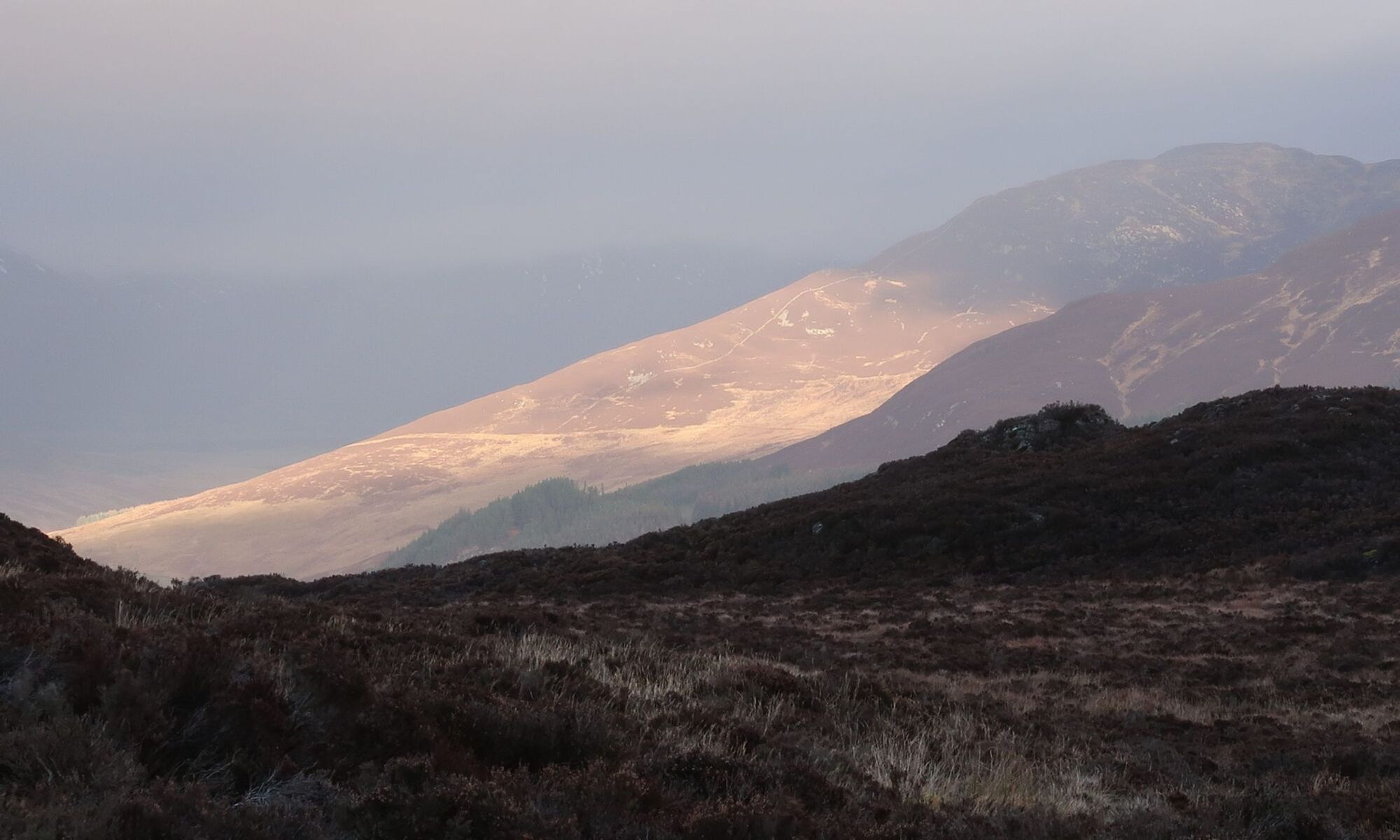 
  
  Duntanlich Weekend Grinder
