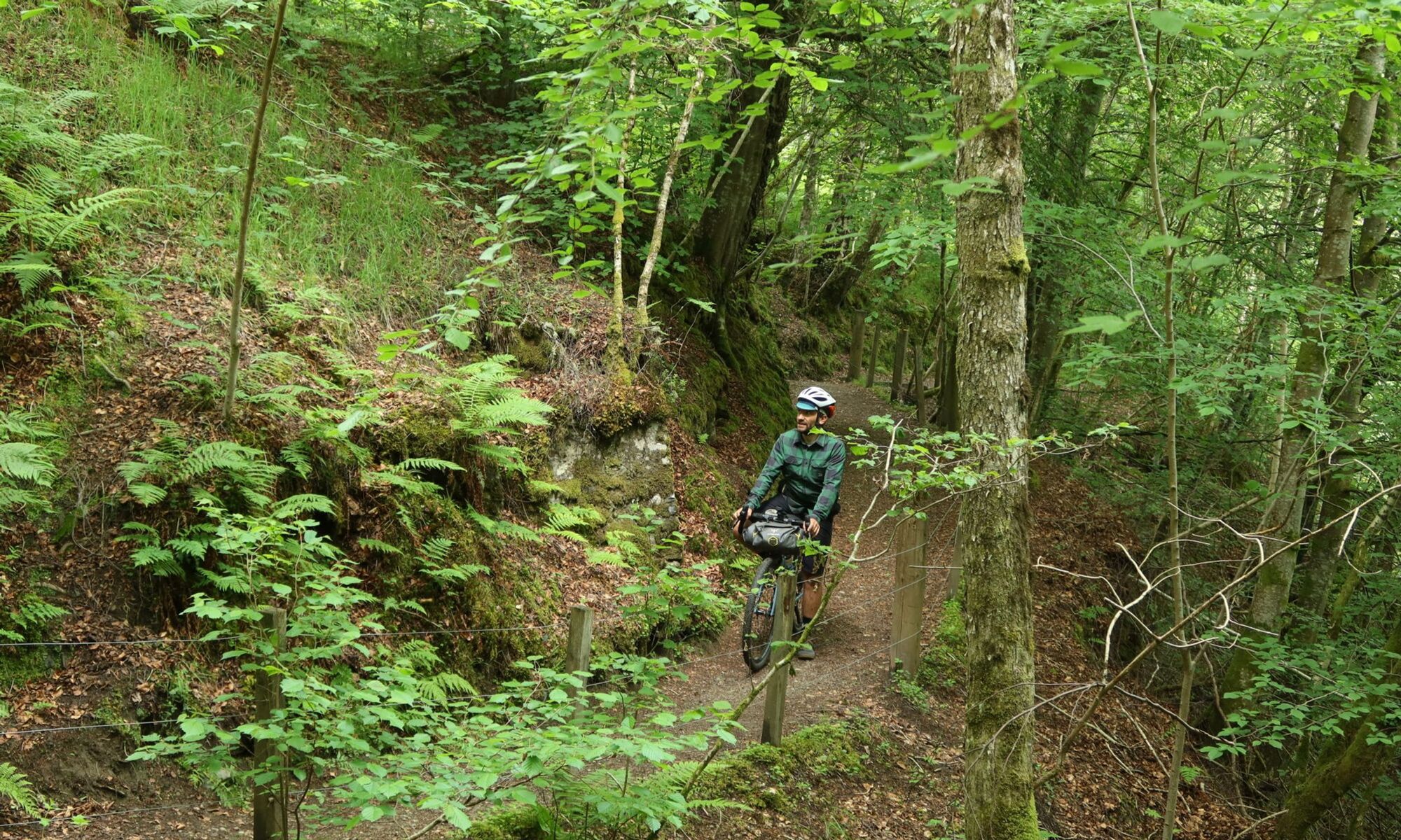 
  
  Drovers Trail - Stage 2
